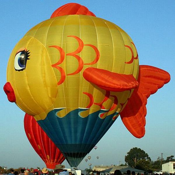 Красивые воздушные шары (59 фото)