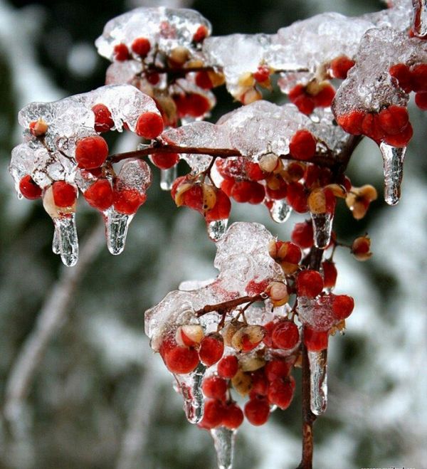 Красивые зимние фотографии (49 фото)