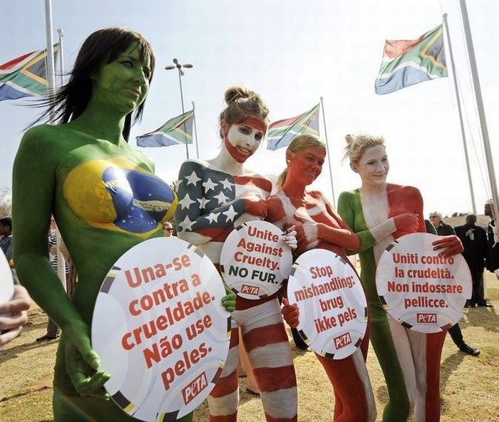Активистки PETA устроили голый протест (11 фото)