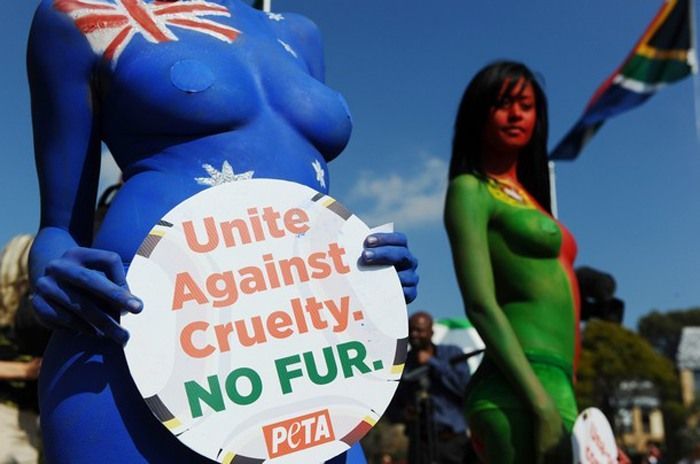 Активистки PETA устроили голый протест (11 фото)