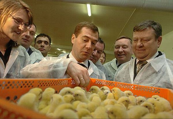 Смешные фотографии президента Медведева (20 фото)