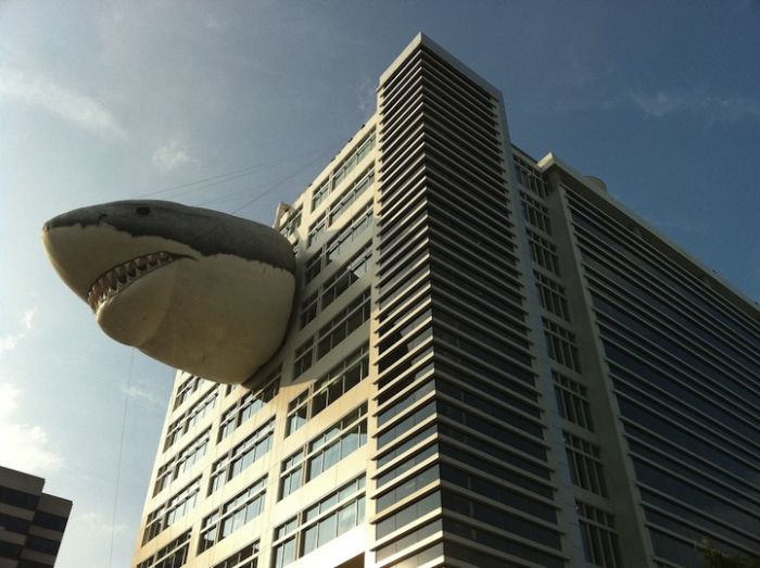 На здании канала Discovery снова появилась акула (6 фото)