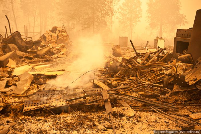 Последствия пожаров в Рязанской области (32 фото)