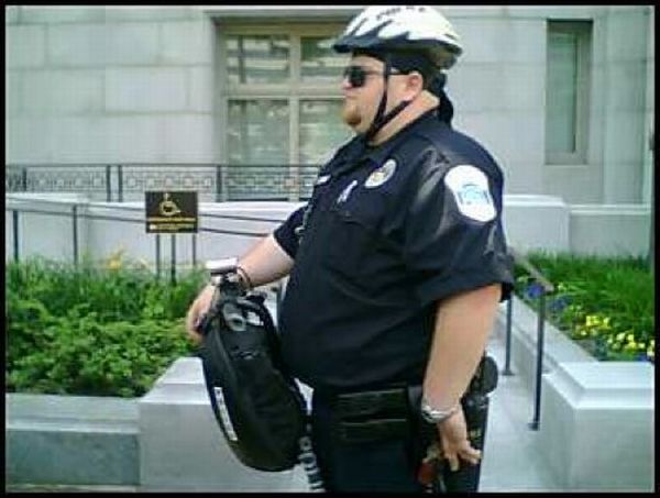 Толстые полицейские (14 фото)