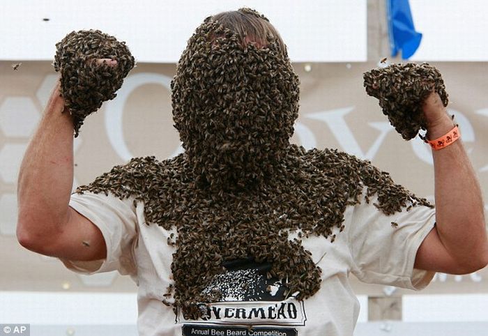 Соревнование на лучшую бороду из пчел (6 фото)