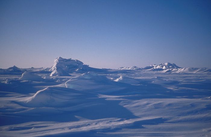 Это Арктика (25 фото)