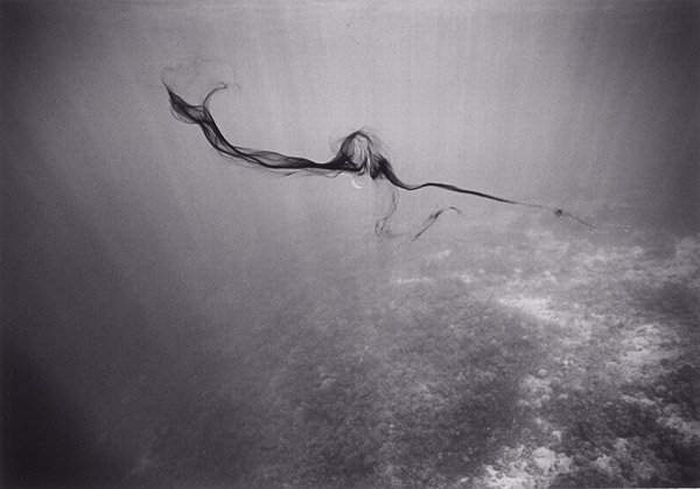Красивые черно-белые подводные фотографии (72 фото)