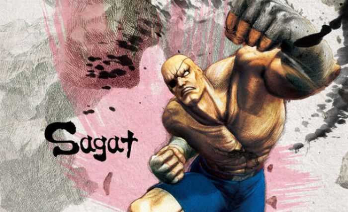 Рисунки к игре Street Fighter IV (29 картинок)