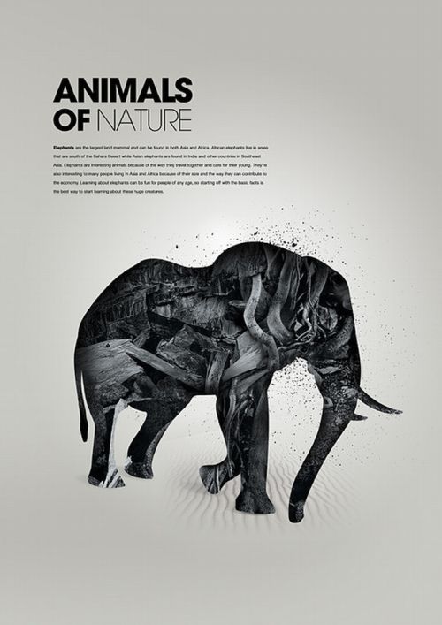 Классные рисунки животных (26 фото)