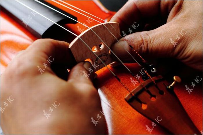Как делают скрипки (43 фото)