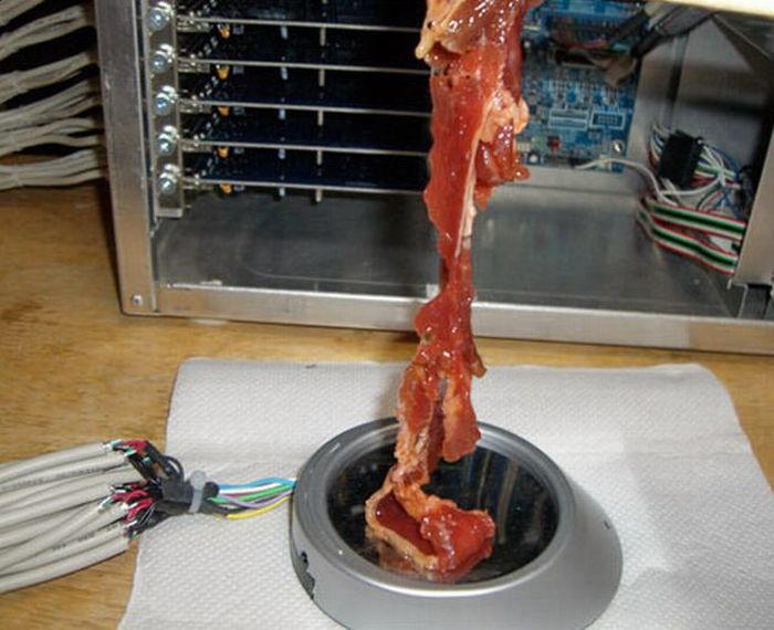Как приготовить мясо с помощью USB (6 фото)