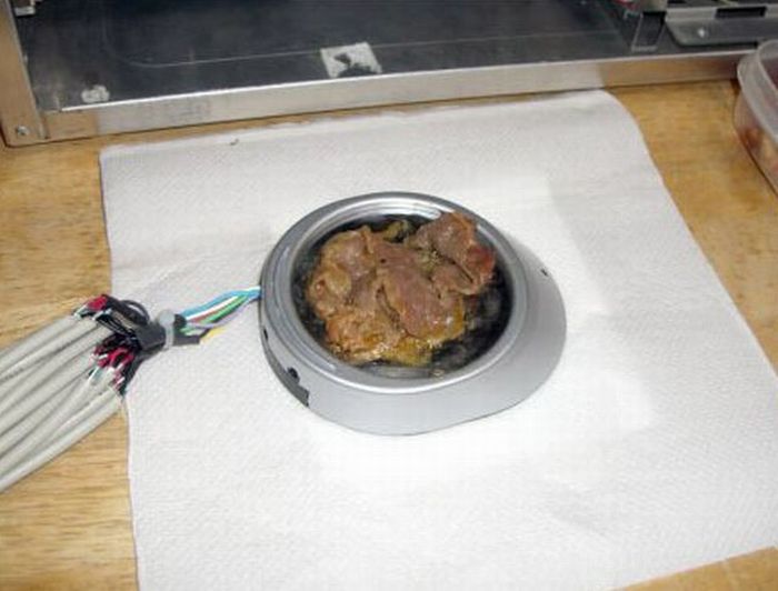 Как приготовить мясо с помощью USB (6 фото)