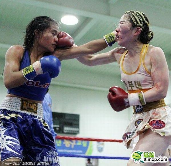 Женский бокс - это ужасно (12 фото)
