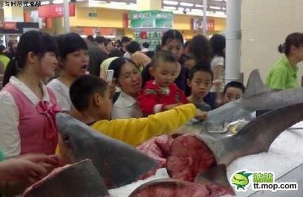 Рыбный рынок в Китае (3 фото)