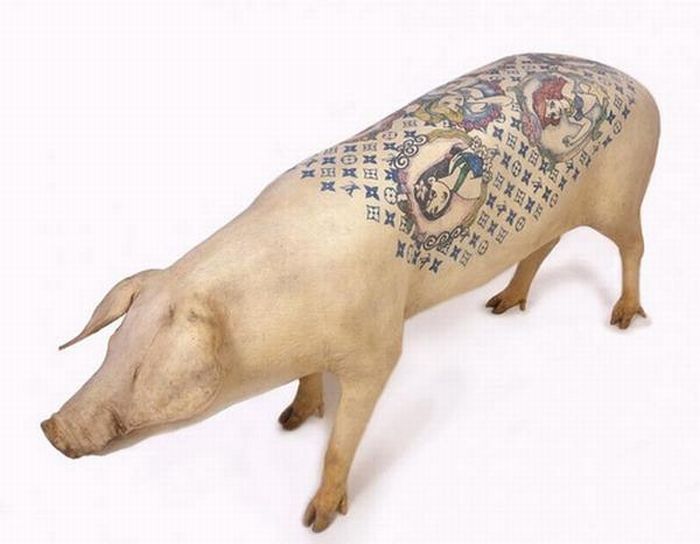 Татуировки на свиньях (31 фото)