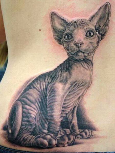 Кошки на татуировках (18 фото)