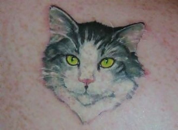 Кошки на татуировках (18 фото)