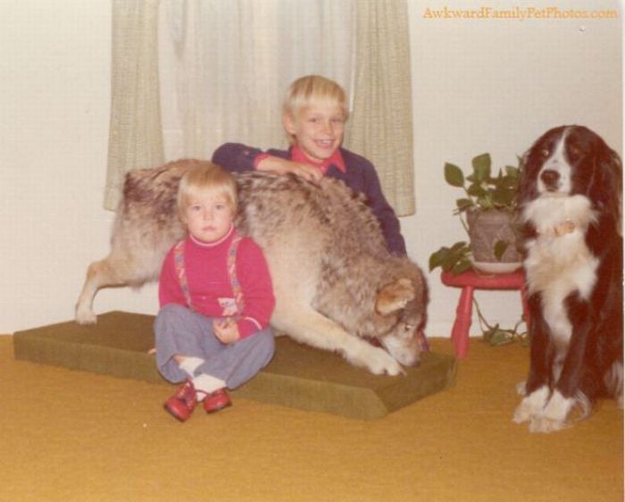Смешные и странные семейные фотографии с животными. Часть 2 (27 фото)