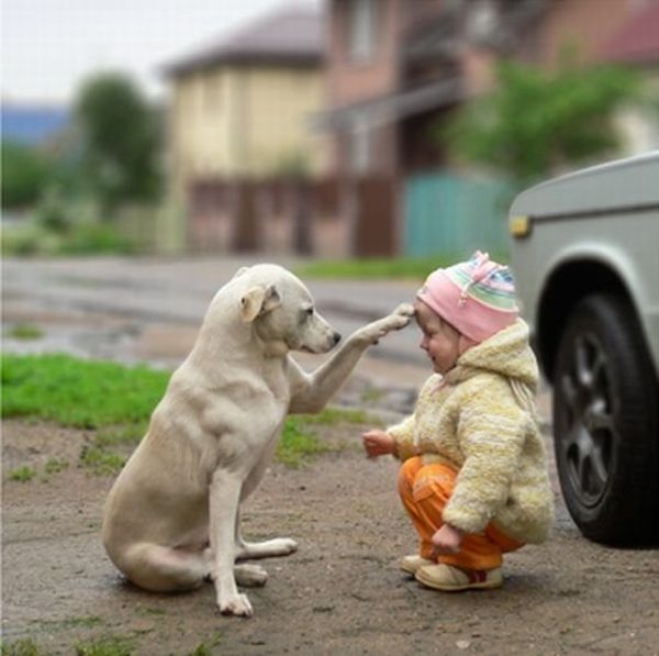 Ребенок и собака (4 фото)