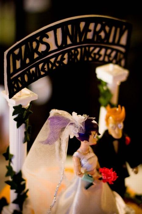 Свадебный торт фанатов Футурамы (10 фото)
