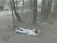 Видео дня