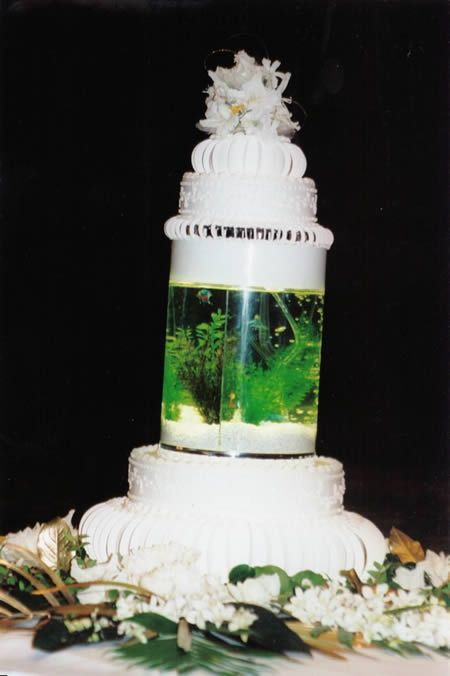 Самые необычные свадебные торты (12 фото)