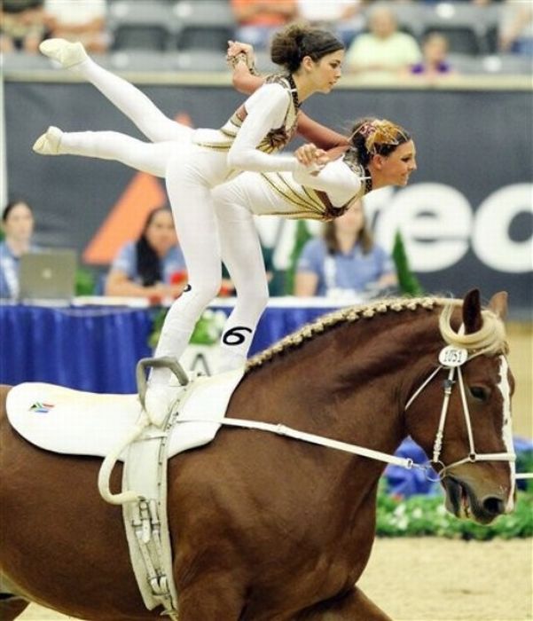 Чемпионат мира по акробатике на лошадях (10 фото)