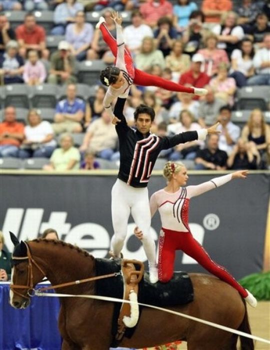 Чемпионат мира по акробатике на лошадях (10 фото)