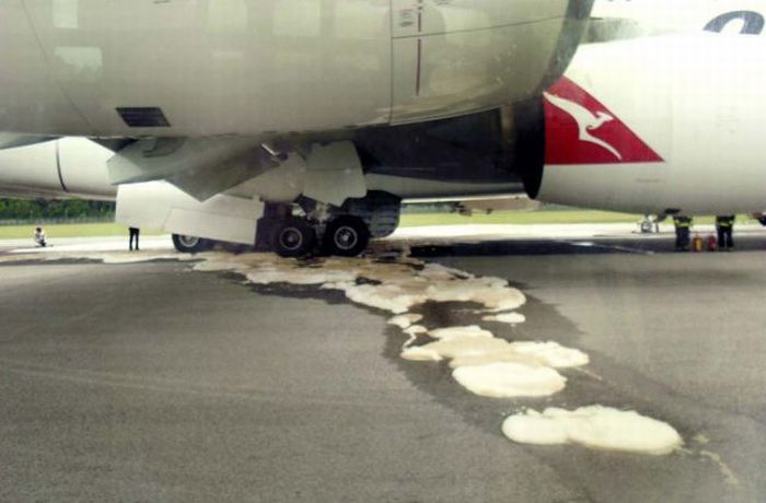 Аварийная посадка А380 (8 фото)