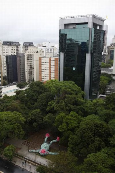 Толстая обезьяна в Сан Паулу (9 фото)