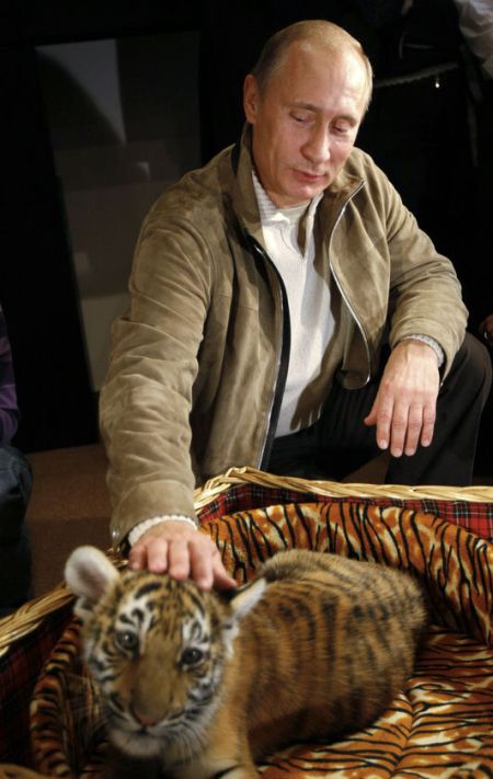 Владимир Путин с животными (24 фото)