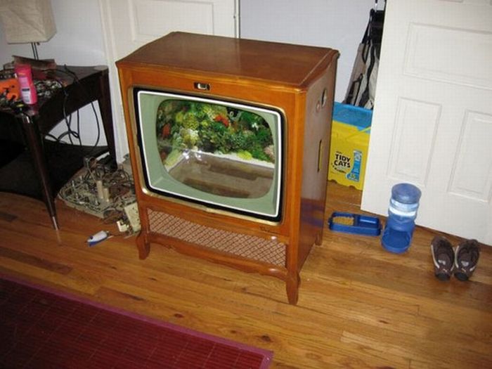 Аквариум из старого телевизора (18 фото)