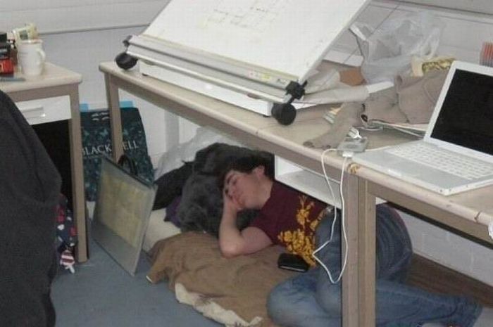 Спящие на работе (17 фото)