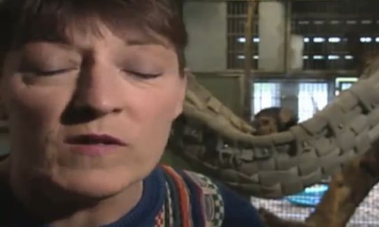 Сюрприз за стеклом (1.1 мб)