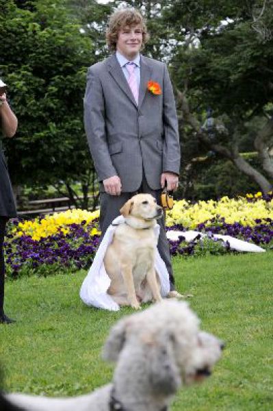 Мужчина женился на своей собаке (17 фото)