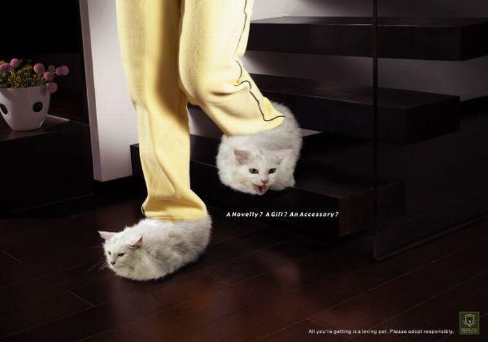 Социальная реклама о защите животных (100 фото)