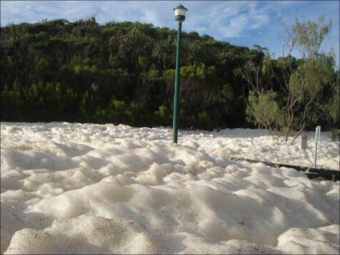 Странная пена на берегах Австралии (15 фото)