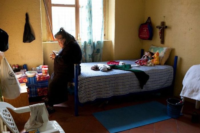 Дом престарелых для проституток (37 фото)