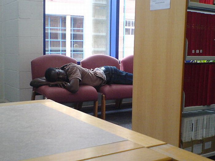 Спящие в библиотеках (45 фото)