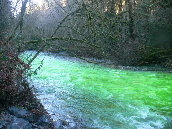Зеленая река (17 фото + видео)