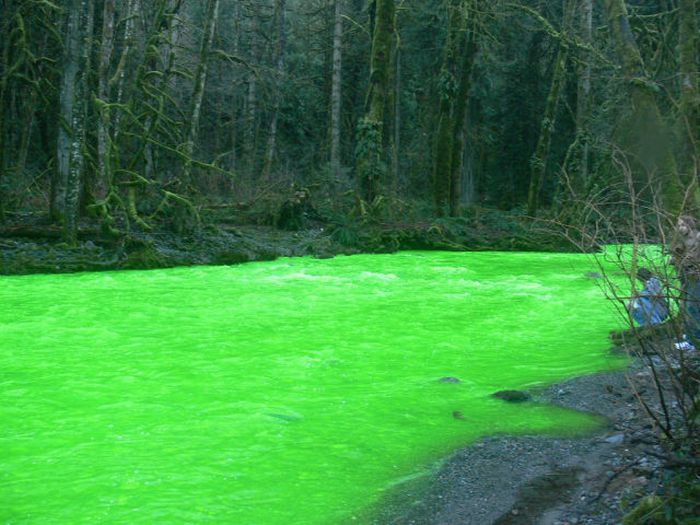 Зеленая река (17 фото + видео)