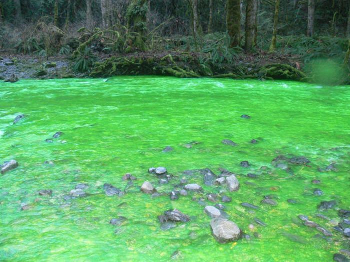 Лаба зеленая. Зеленая река. Флуоресцеин река. Зеленая река фото. Манажная река зеленого цвета.