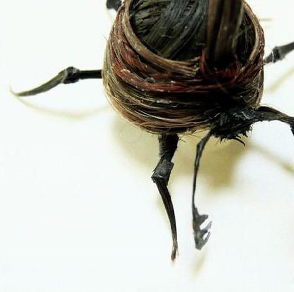 Насекомые, сделанные из человеческих волос (14 фото)