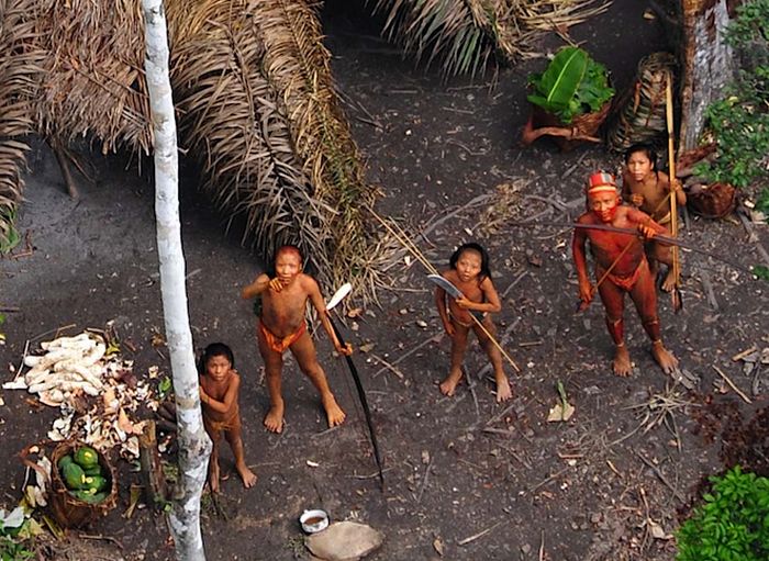 В Бразилии найдено еще одно неизвестное ранее племя (6 фото)