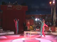 Две девушки в одной коробке (22.1 мб)