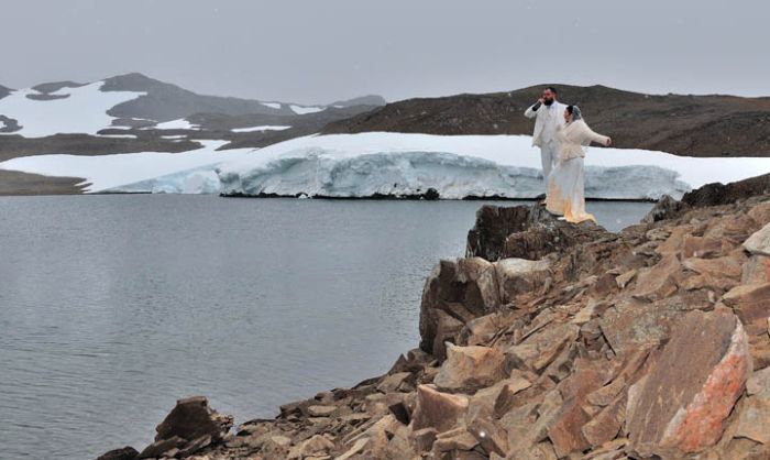 Свадьба среди льдов (11 фото)