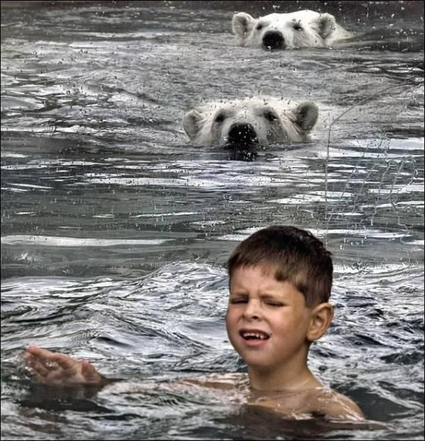 Дети купаются с медведями (6 фото)