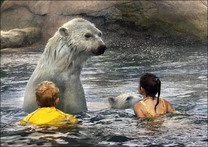 Дети купаются с медведями (6 фото)
