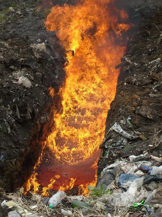 Уничтожение путем сжигания. Сожгли красную икру на Сахалине.