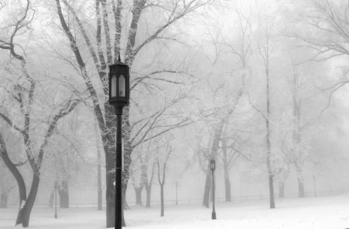 Зима (65 фото)